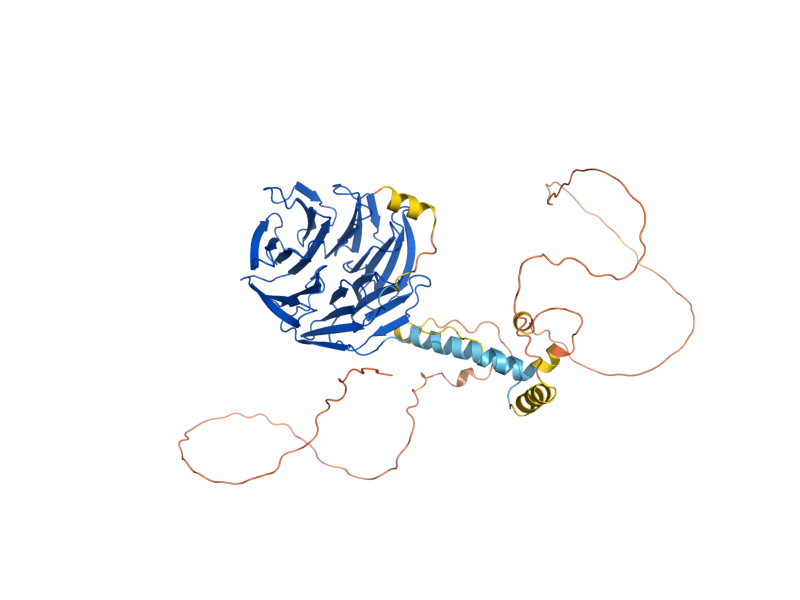 AlphaFold predicted structure of CDH1