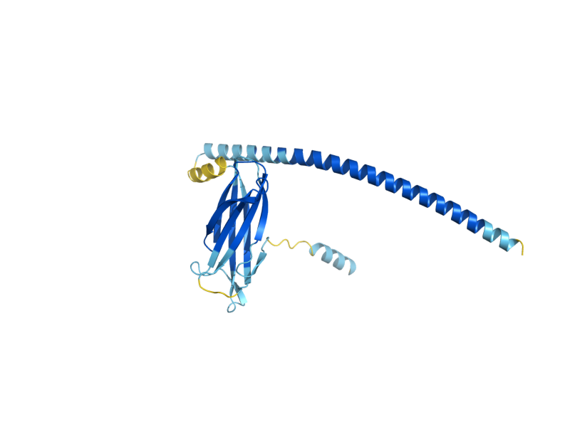 AlphaFold predicted structure of ERP6