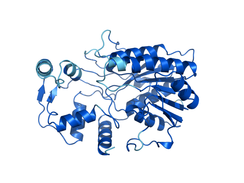 AlphaFold predicted structure of ERG26