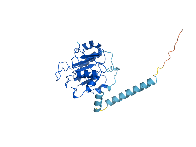 AlphaFold predicted structure of EFM5