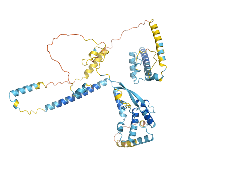 AlphaFold predicted structure of SWC4