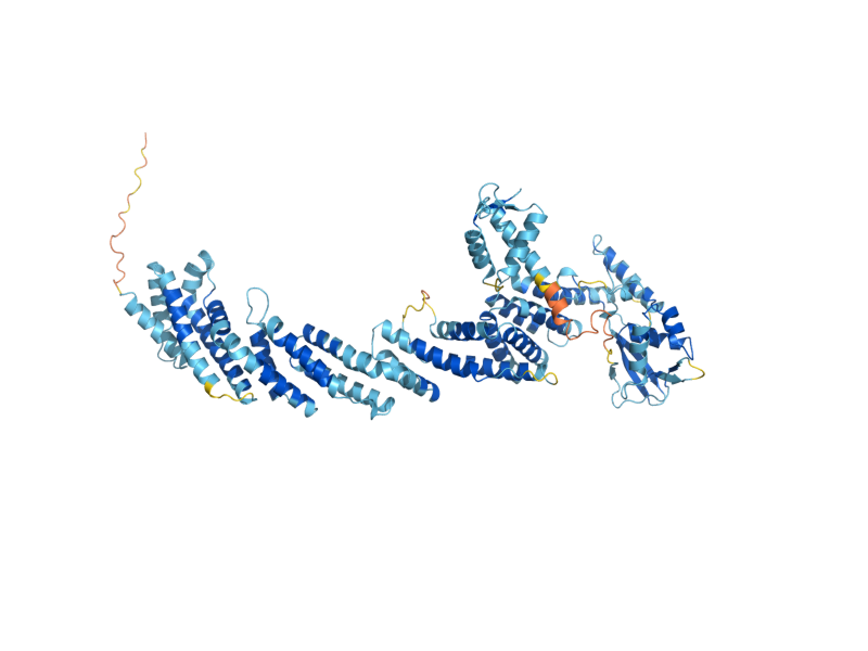 AlphaFold predicted structure of CUL3