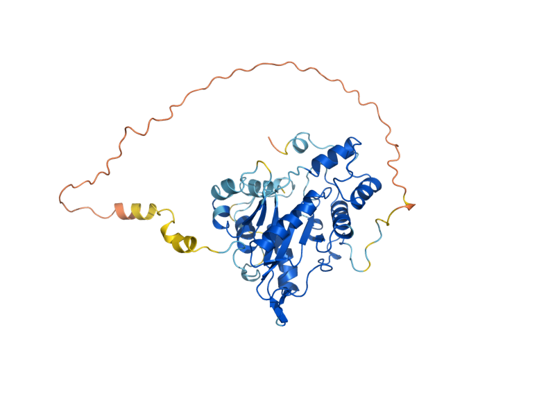 AlphaFold predicted structure of NMA2