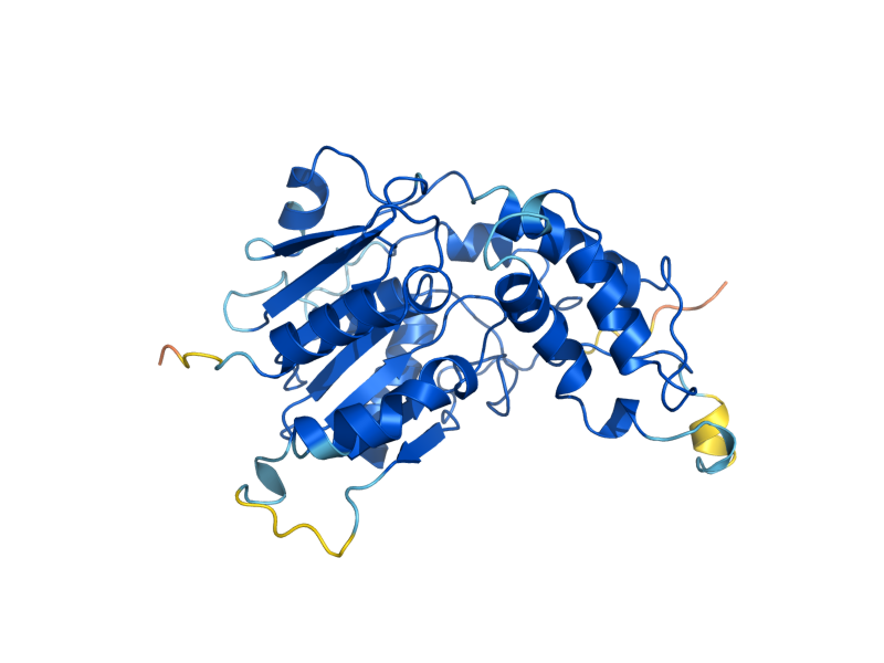 AlphaFold predicted structure of EAT1