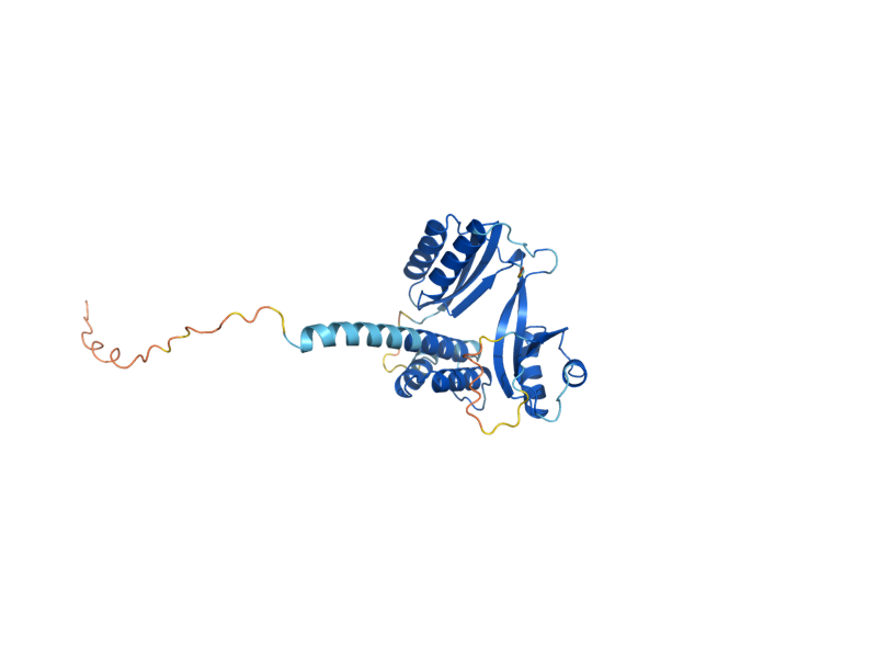 AlphaFold predicted structure of DPC29