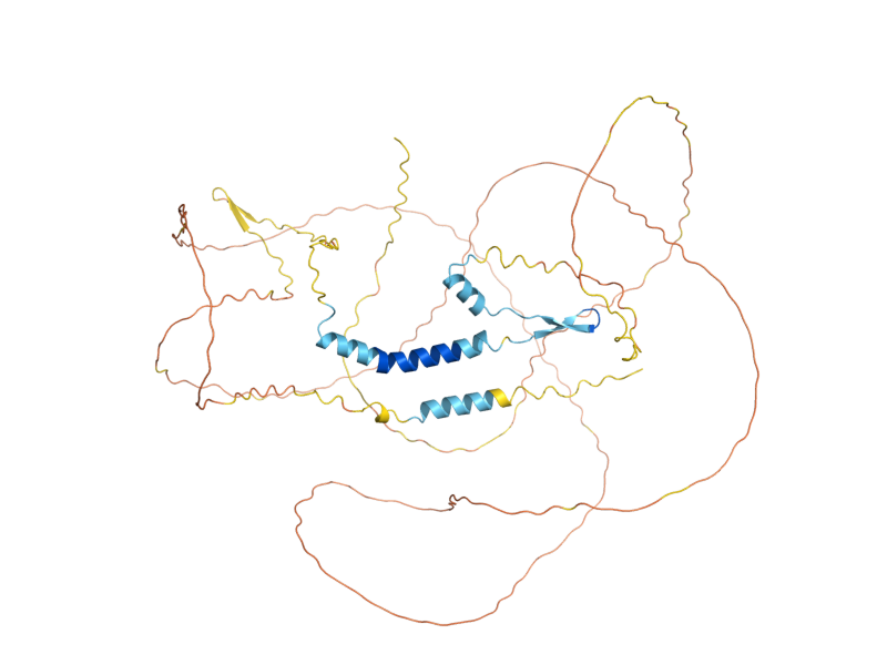 AlphaFold predicted structure of MTL1