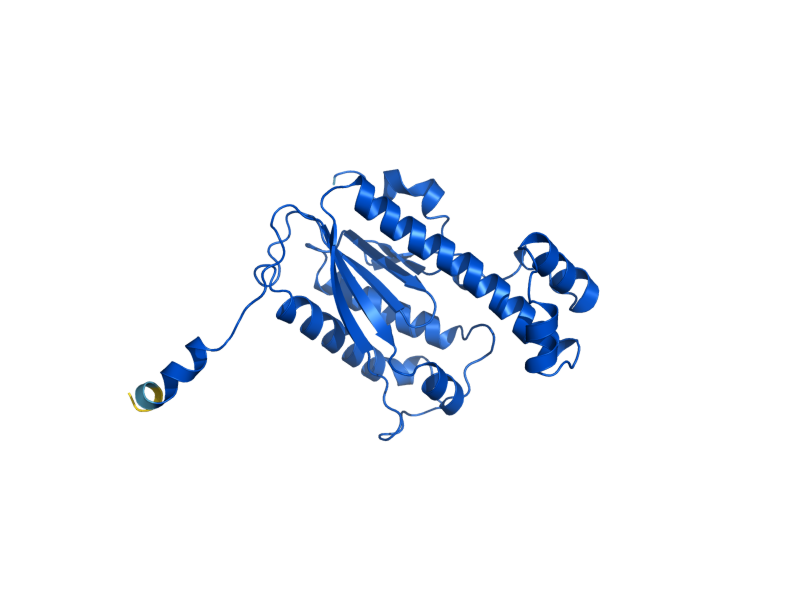 AlphaFold predicted structure of THG1