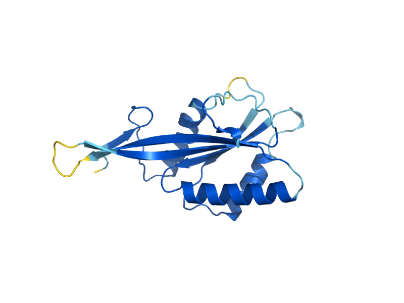 AlphaFold predicted structure of POP6
