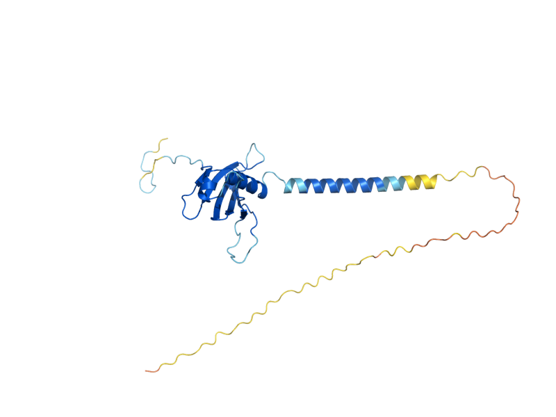 AlphaFold predicted structure of TIM21