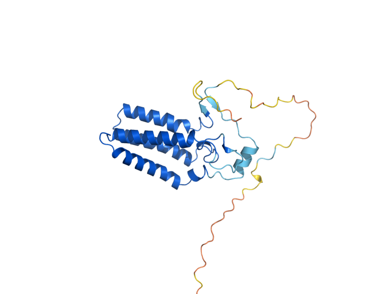 AlphaFold predicted structure of ORM1
