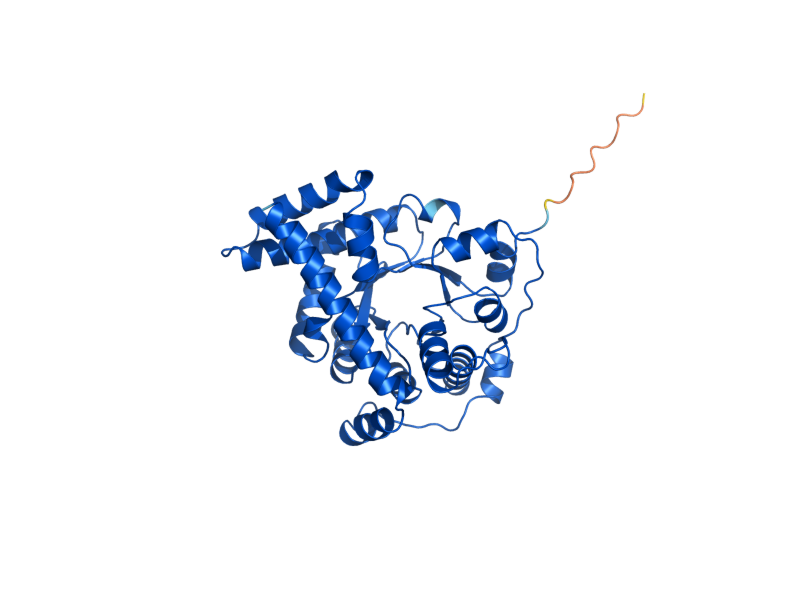 AlphaFold predicted structure of NQM1