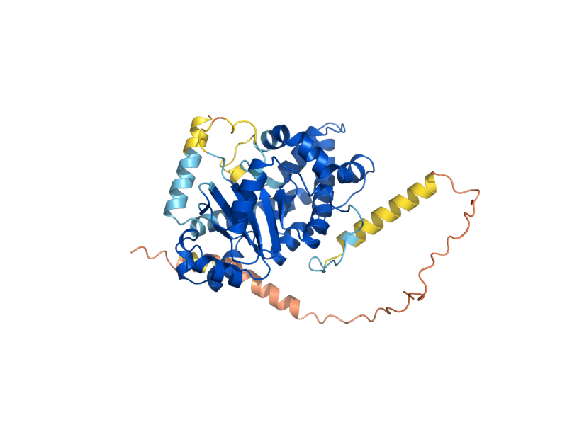 AlphaFold predicted structure of TAM41