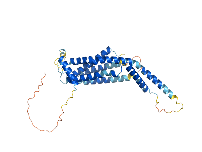 AlphaFold predicted structure of COX18