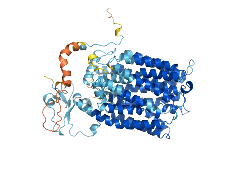 AlphaFold predicted structure of VHT1