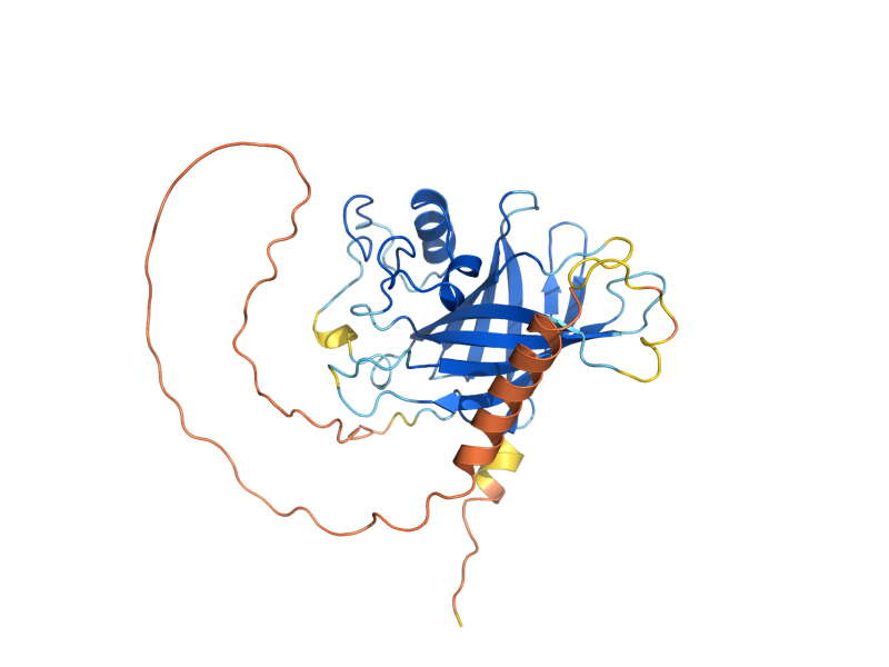 AlphaFold predicted structure of GID10