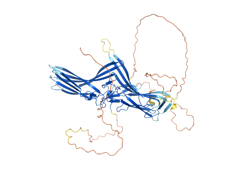 AlphaFold predicted structure of ART5