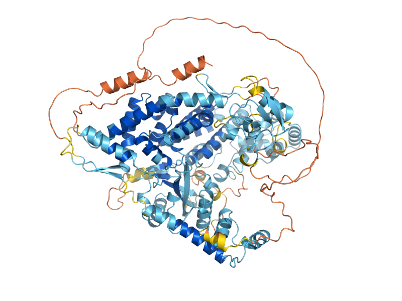 AlphaFold predicted structure of ENV11