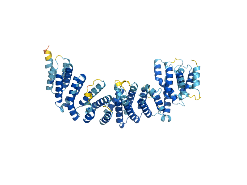 AlphaFold predicted structure of PEX8