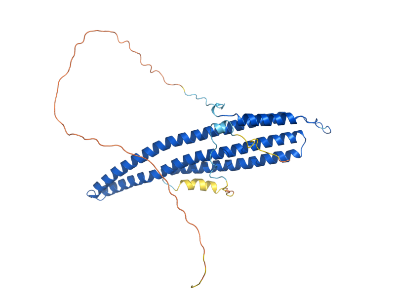 AlphaFold predicted structure of PIL1