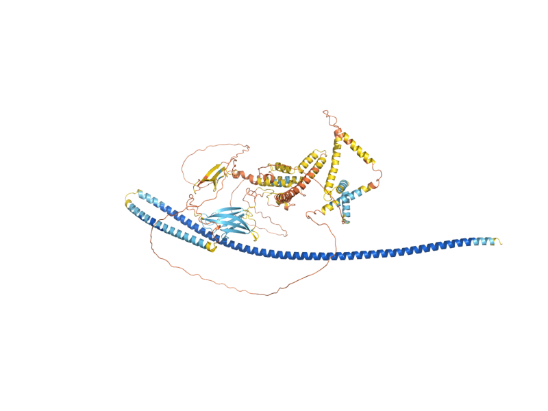 AlphaFold predicted structure of NNF2