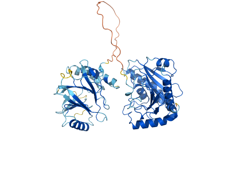 AlphaFold predicted structure of DRN1