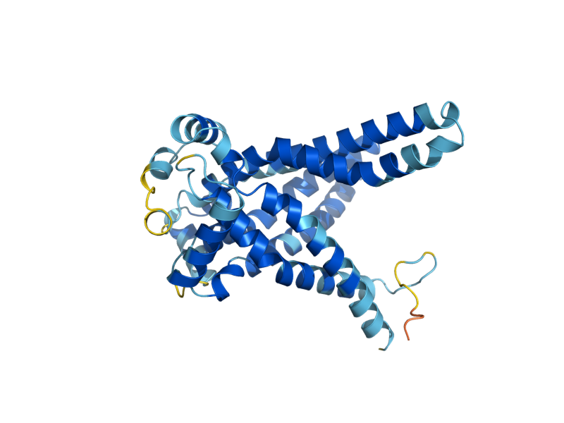 AlphaFold predicted structure of TPC1