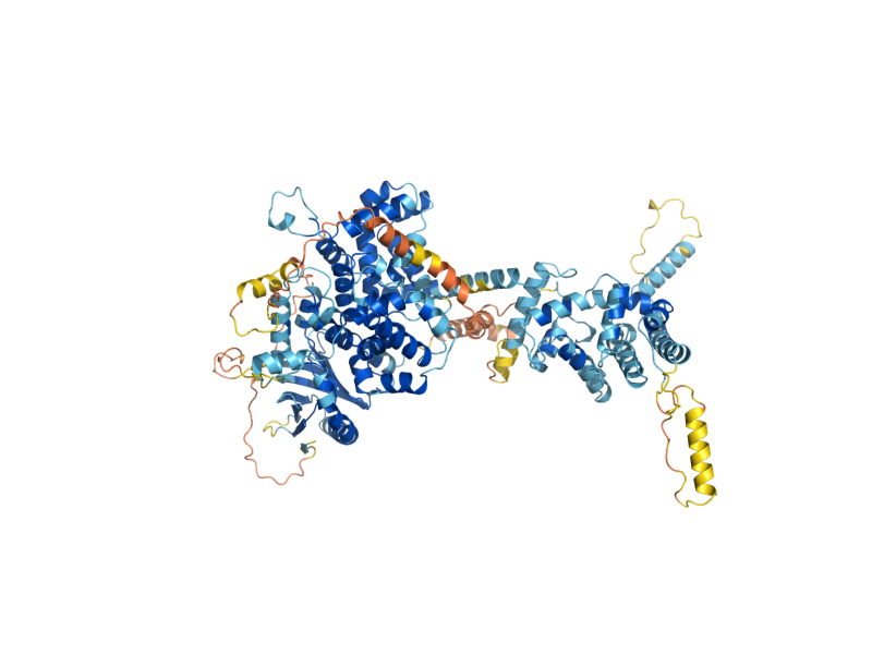 AlphaFold predicted structure of MDR1
