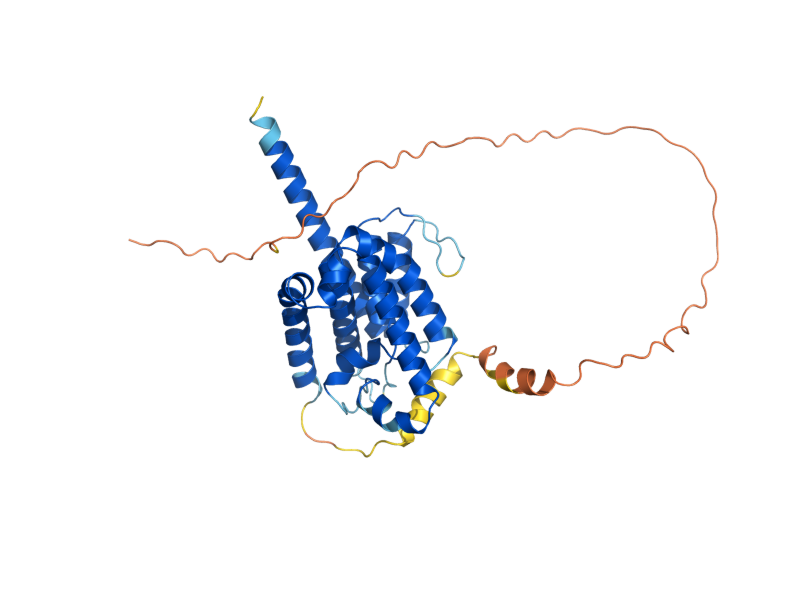 AlphaFold predicted structure of PCP1