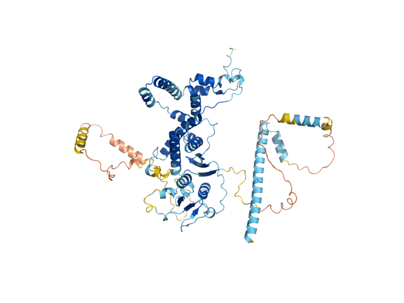 AlphaFold predicted structure of NOP7