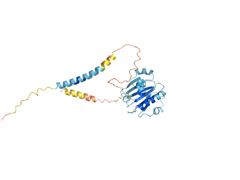 AlphaFold predicted structure of VOA1