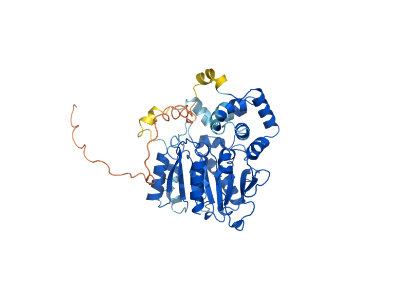 AlphaFold predicted structure of CLD1