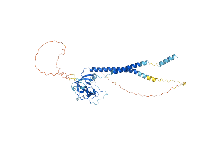 AlphaFold predicted structure of SHY1