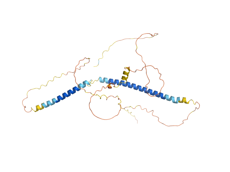 AlphaFold predicted structure of DAM1