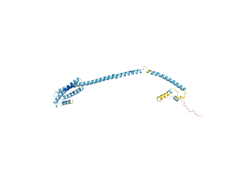 AlphaFold predicted structure of COG2