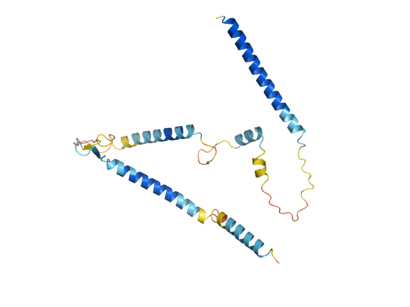 AlphaFold predicted structure of SYF2