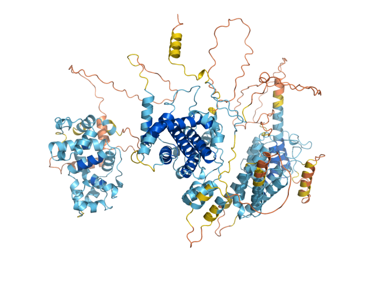 AlphaFold predicted structure of CAF130