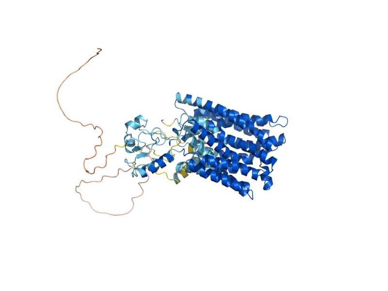 AlphaFold predicted structure of TPO2
