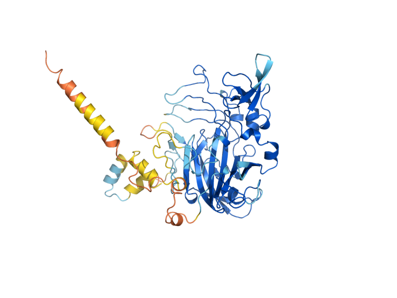AlphaFold predicted structure of VPS62
