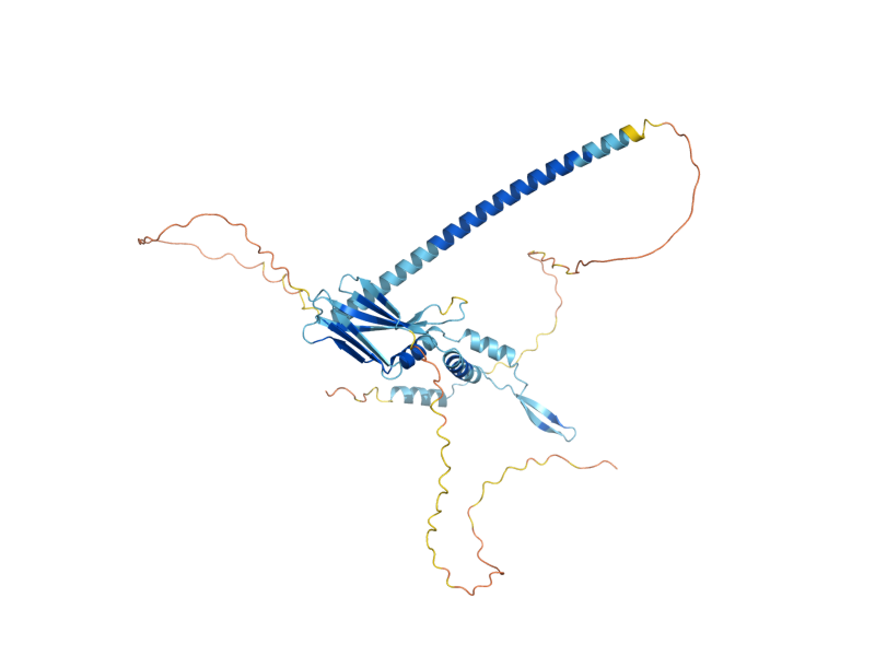AlphaFold predicted structure of BTN2