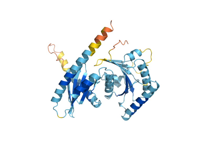 AlphaFold predicted structure of GTR2