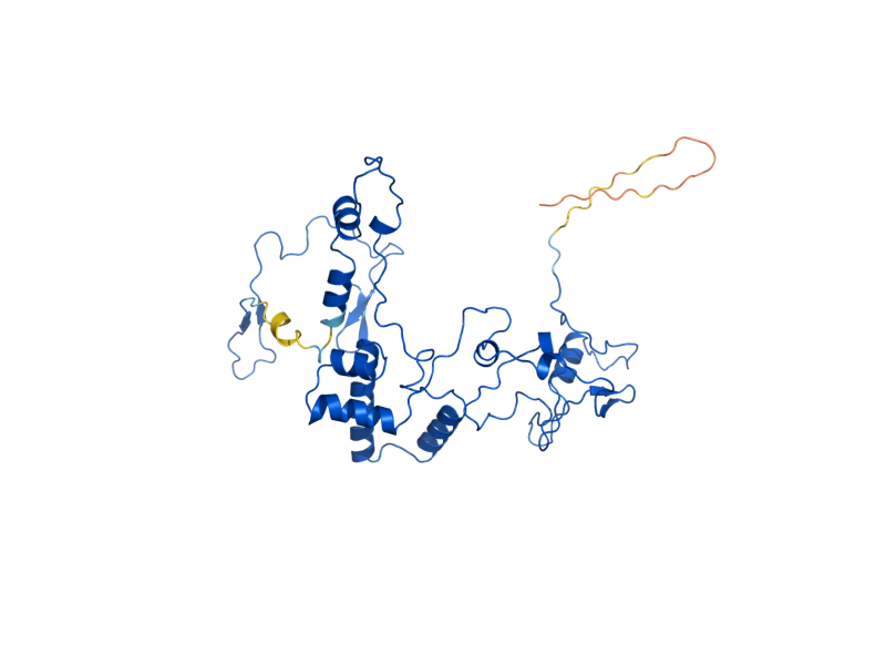 AlphaFold predicted structure of MRPS35