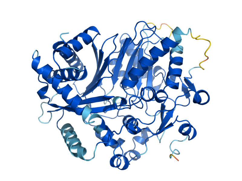 AlphaFold predicted structure of ATF2