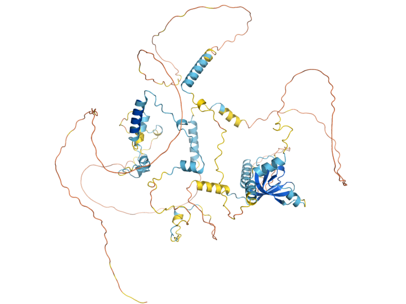 AlphaFold predicted structure of PBP1