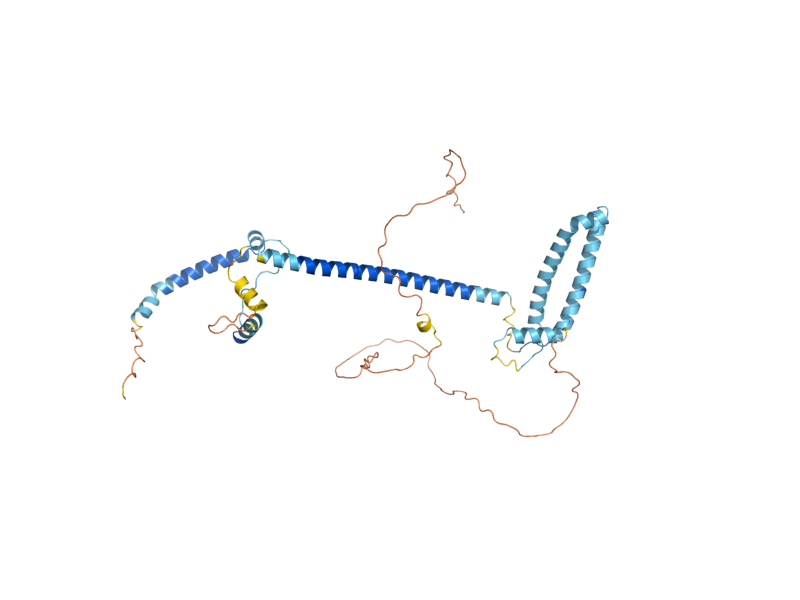 AlphaFold predicted structure of OKP1
