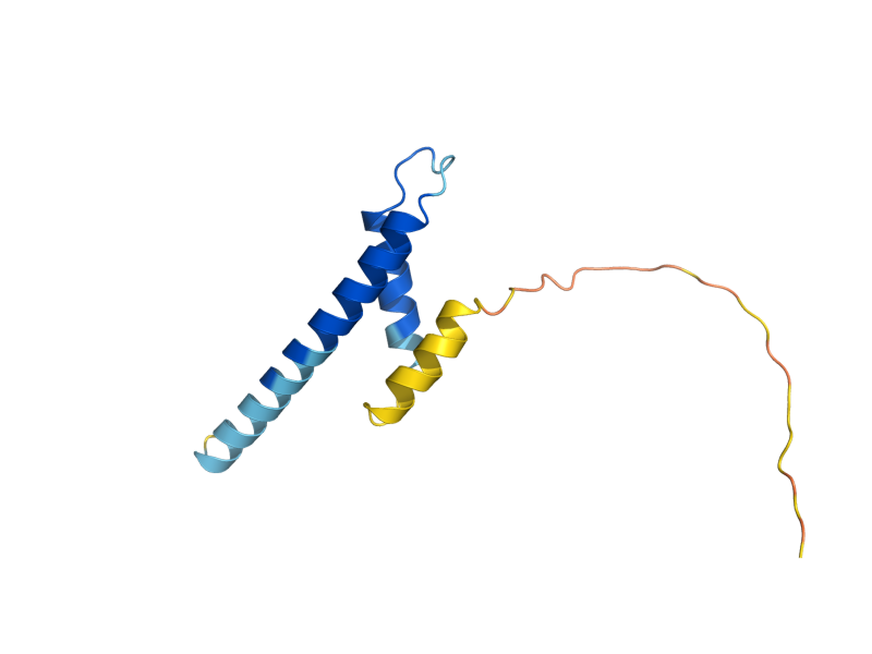 AlphaFold predicted structure of TIM13