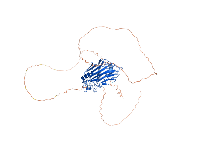 AlphaFold predicted structure of CRH1
