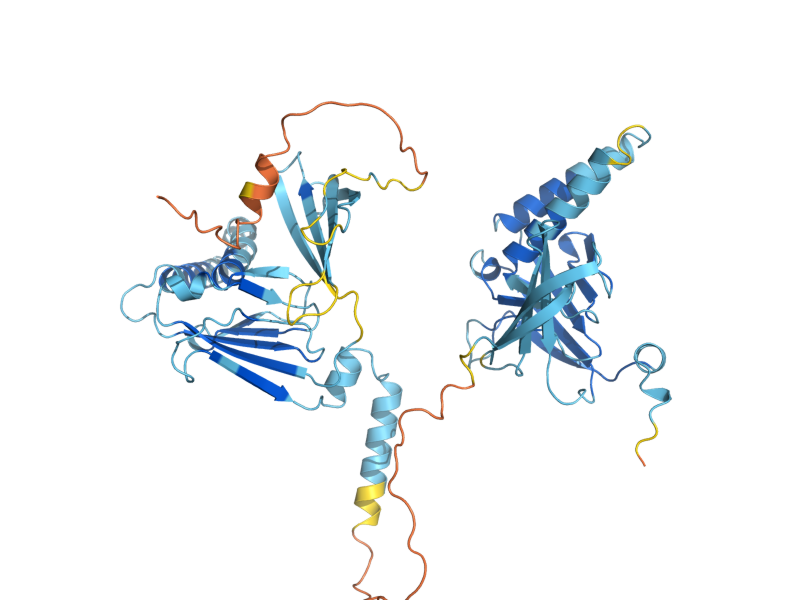 AlphaFold predicted structure of ZPR1