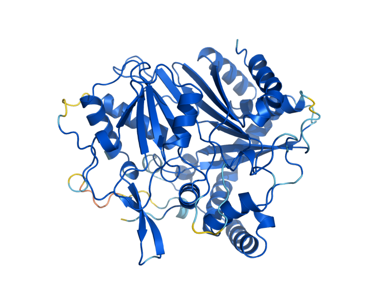 AlphaFold predicted structure of SLI1