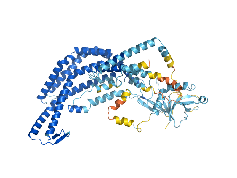AlphaFold predicted structure of GPI1