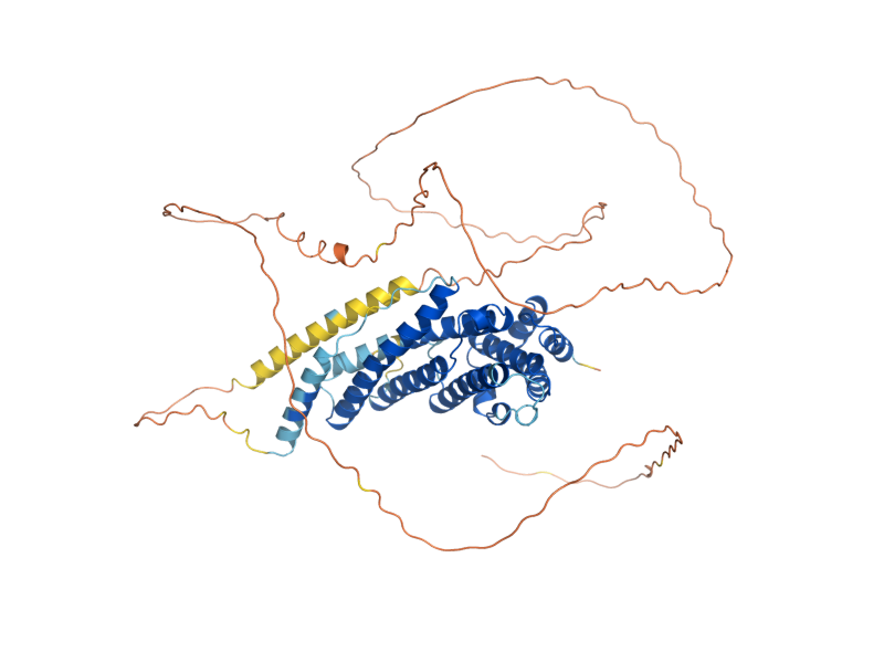 AlphaFold predicted structure of YAP1802